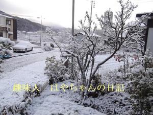 2011.12.10 朝.JPG