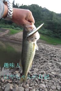 パニッシュにて 2011年9月9日.JPG