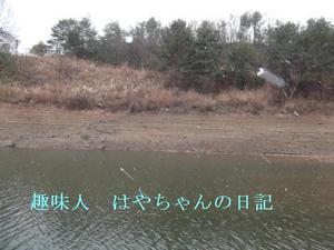 降ってきた〜.JPG