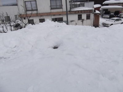 雪下ろし後.JPG