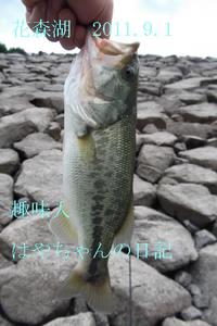 2011.9.1 花森湖にて.JPG